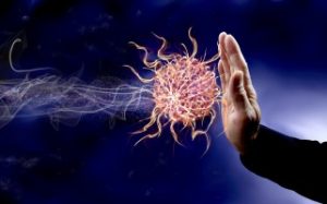Therapieverfahren 6 Aufbau des Immunsystems